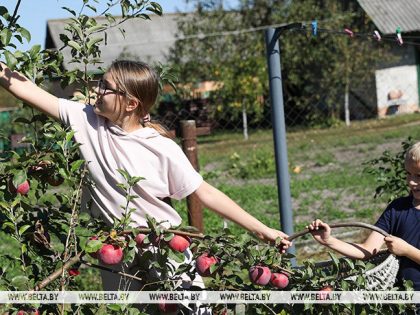 Минтруда: в Беларуси продолжают укреплять институт семьи, создавая условия для рождения и воспитания детей