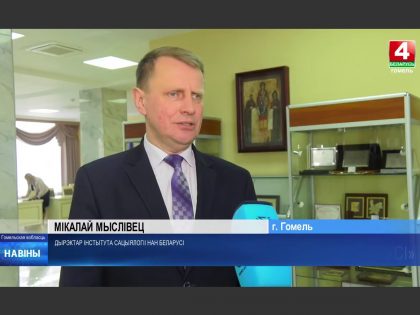 Семинар «Здоровая нация как основа развития Беларуси» в Гомеле
